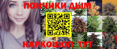 спиды Будённовск